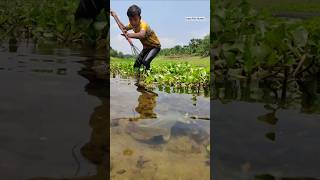 Amazing Fishing Techinques 2024 ||Unique Teta Fishing Challenge ♡#trending #shorts #fishingvideo