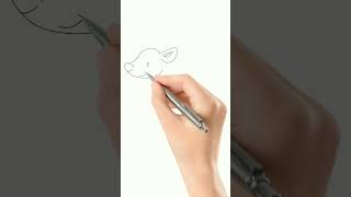 how to draw a beautiful animal ! animal drawing kaise banate hain #shorts