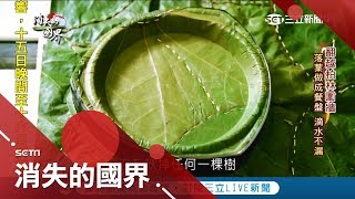 塑膠OUT！德國推出\