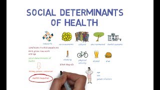 What Makes Us Healthy? Understanding the Social Determinants of Health