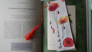 Coquelicots et fleurs blanches à l'aquarelle - Astuces pour peindre de façon libre et floue