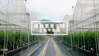 小紅牛番茄 展鮮農產生技有限公司