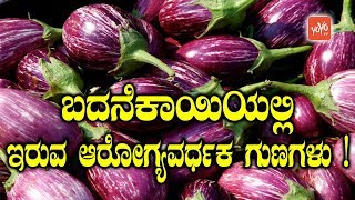 ಬದನೆಕಾಯಿಯಲ್ಲಿ ಇರುವ ಆರೋಗ್ಯವರ್ಧಕ ಗುಣಗಳು ! | Amazing Benefits of Brinjal | YOYO TV Kannada