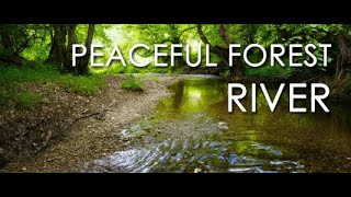 Relaxing River Sounds for Stress Relief