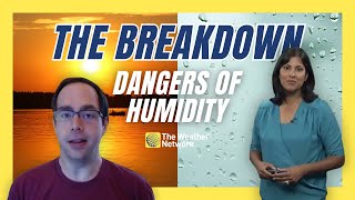 The Breakdown: How Does Humidity Makes Heat More Dangerous?
