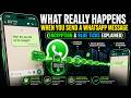 What Really Happens When You Send a WhatsApp Message (Encryption & Blue Ticks Explained)