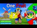 Blox Fruits Noob to Pro But I ONLY Get ONE Fruit