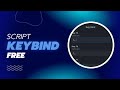 [FiveM][FREE] Script Keybind