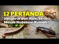 USIR JIKA MASUK MALAM HARI!! 12 PERTANDA JANGKRIK DAN KAKI SERIBU MASUK KE DALAM RUMAH