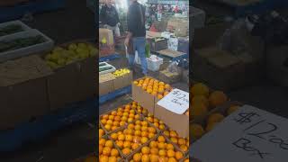 #visitsydney flemington markets #food