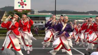 2013えひめYOSAKOI　前夜祭　『ほにや』　②