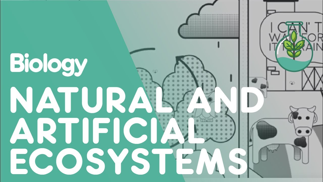 Differences Between Natural & Artificial Ecosystems | Ecology ...