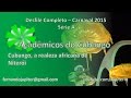 Desfile Completo Carnaval 2015 - Acadêmicos do Cubango