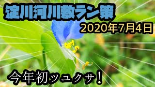 梅雨真っ只中！淀川河川敷をラン策して来た！前編