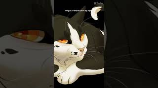 warrior cats swiftpaw sad