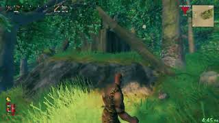 Valheim The Elder Speedrun in 11:55 (RSG/NG) (WR)