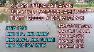 kolam perdana Hasan Minggu ini tgl 19 Januari 2025 di kpum depan