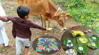 கிராமத்து ஸ்டைல் மாட்டுப்பொங்கல் | எங்க வீட்டு மாட்டு பொங்கல் | மாட்டு பொங்கல் celebration vlog