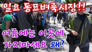 일요 동묘벼룩시장!! 여름에는 이곳에 가지마세요 왜?