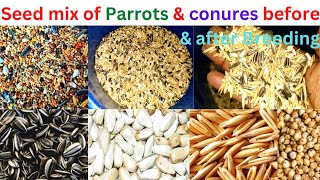 Seed mix of Parrots & Conures before & after Breeding😍😍 // seed mix for birds/conure breeder