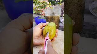 সুবহানাল্লাহ আলহামদুলিল্লাহ | 🥭#mango #fruitcutting #আম #fruit