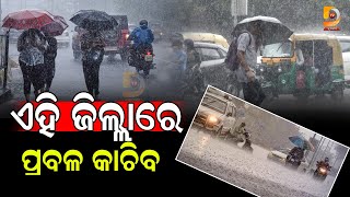 ଏହି ଜିଲ୍ଲାରେ ପ୍ରବଳ କାଚିବ | Dumani TV