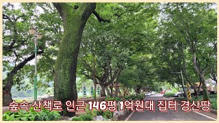 경산시 용성면 산책로 멋진 146평 1억원대 경산집터 2932