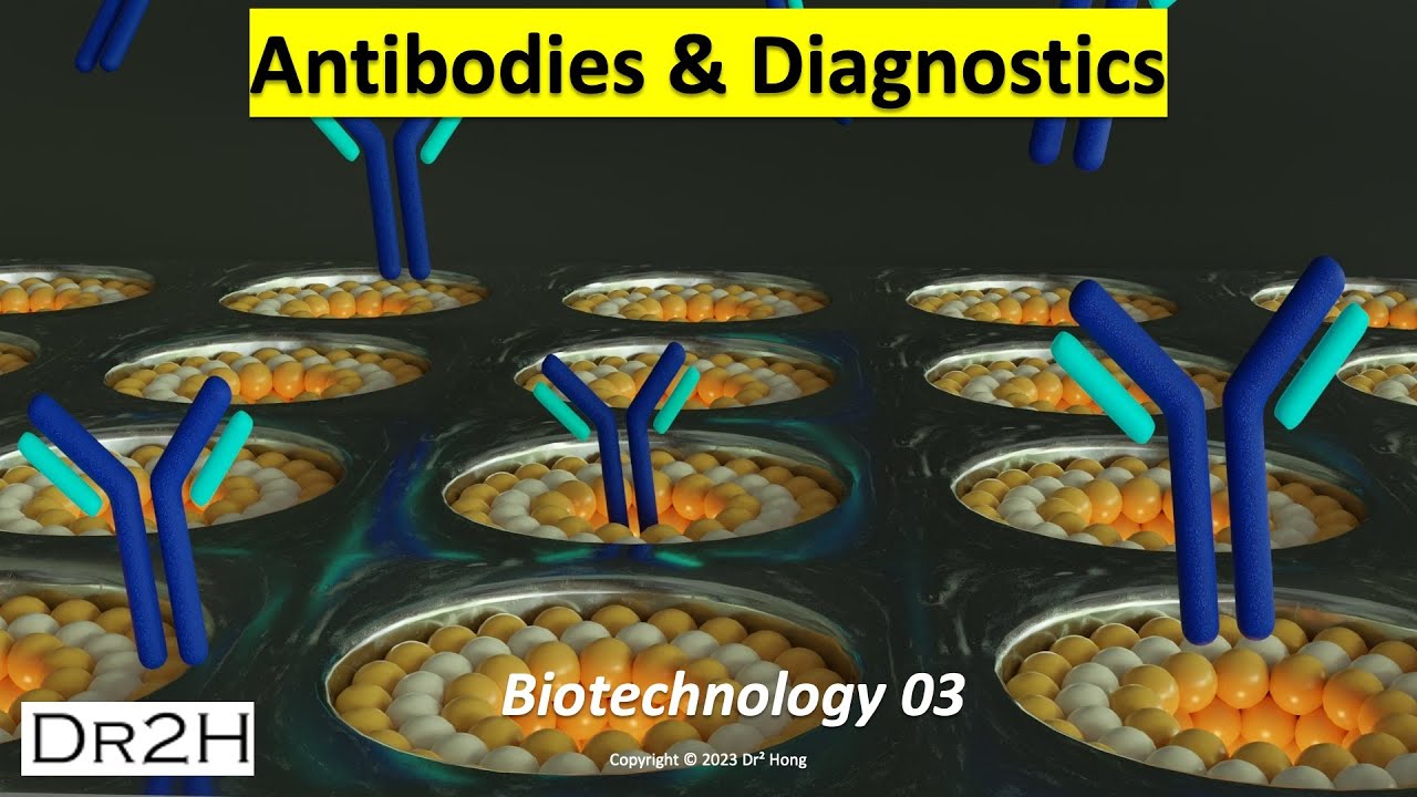 Dr. Hong's Biotechnology Lecture 03: Antibody Usage In Diagnostic And ...