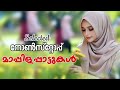 new malayalam mappila album songs mappilappattukal mappila pattukal malayalam album