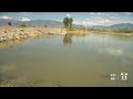 Harmful Algal Bloom reported at Utah Lake