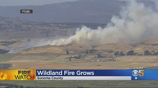 Gulch Fire: Firefighters stop the forward advance of 170 acre wildfire near Petaluma