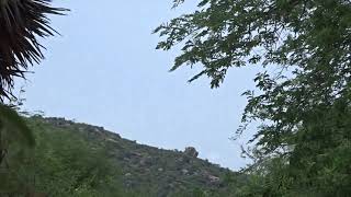 Thiruvannamalai  Nandi face in thiruvannamalai mountain