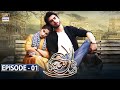 Noor Ul Ain Episode 1 - 10th Feb 2018 - ARY Digital [Subtitle Eng]