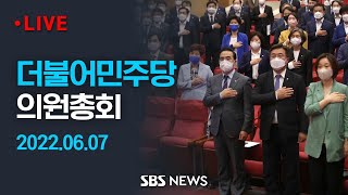 더불어민주당 의원 총회...새 비대위 구성 논의 / SBS