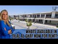 What's available in Tilal al Ghaf for rent?