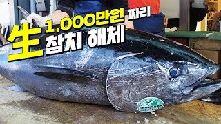 일본 츠키지 시장 생참치 해체, 보고왔습니다. Bluefin Tuna Cutting Show (Tokyo Tsukiji Fish Market, JAPAN) ENG SUB