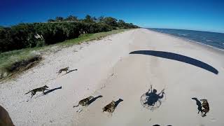 Volando paramotor en Kiyu, San Jose, Uruguay