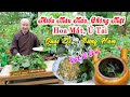 THIẾU MÁU NÃO CHÓNG MẶT - Hoa Mắt, Ù Tai, Choáng váng, BỆNH QUAI BỊ - Sưng Hàm || Chùa Pháp Tạng