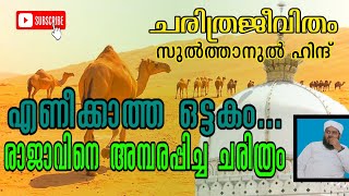 രാജാവ് അമ്പരന്ന നിമിഷം | സുൽത്താനുൽ ഹിന്ദ് ചരിത്രജീവിതം | ഇല്യാസ് അഹ്സനി ദേശമംഗലം|ഖാജ കോംപ്ലക്സ് |