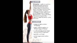 முதுகு வலி நீங்க #yoga