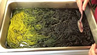 Dyeing Yarn with Lisanne