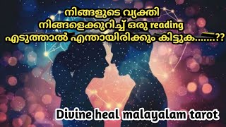 നിങ്ങളുടെ വ്യക്തി നിങ്ങളെക്കുറിച്ച് ഒരു reading എടുത്താൽ എന്തായിരിക്കും കിട്ടുക? 🌞✨Divinehealtarot🌞✨