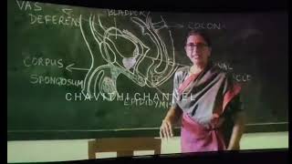 Uppena movie science teacher good explain theatre scene Uppena kruthiShetty , Vaishnav Uppena movie