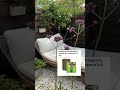 my top garden must haves gardeninspo gardentips outdoorliving smallgarden musthaves tuin