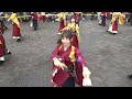 早稲田大学よさこいチーム東京花火『花かるた』／nhk前ストリート／原宿表参道元氣祭スーパーよさこい2016