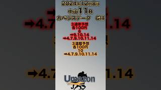 【競馬】競馬は少額でも大きく勝てる？Part2 （競馬241208中山11R） #競馬 #中京競馬場#ギャンブル #パチンコ#パチスロ#カペラステークス