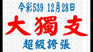 【539鬼谷子】12月28日 上期中20 今彩539 大獨支