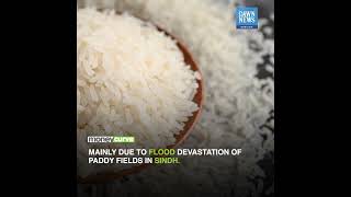 Pakistan’s rice exports shrink by 15.82% | MoneyCurve | Dawn News English