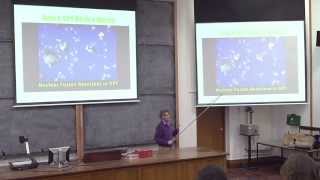 Oxford Scientific Society Talk - Eric Lerner - \