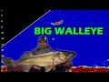 Winter Camping | Cooking, and Fishing LATE NIGHT BIG WALLEYE!